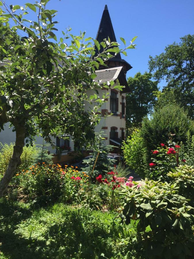 Turmvilla Vogtland Oelsnitz  Esterno foto