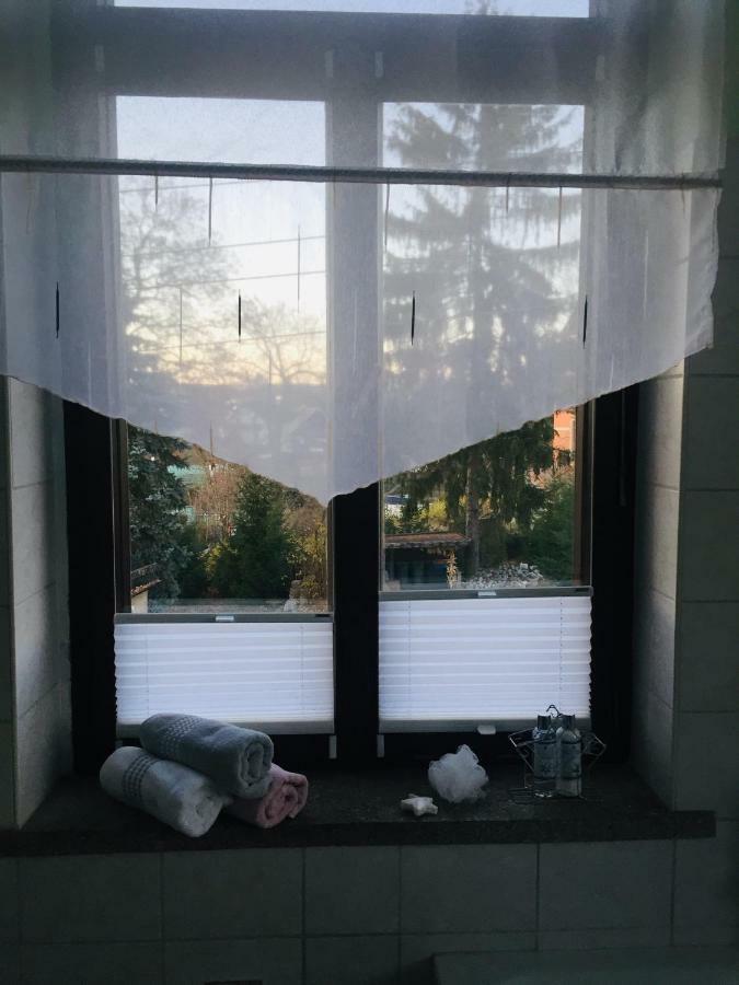 Turmvilla Vogtland Oelsnitz  Esterno foto